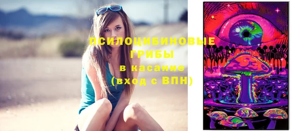 меф Гусев