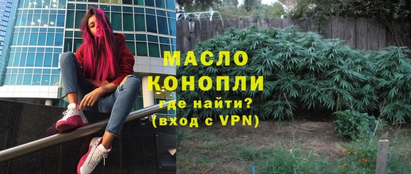 дурь Гусиноозёрск