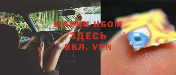 дурь Гусиноозёрск