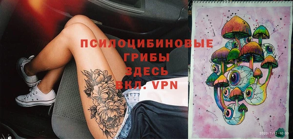 дурь Гусиноозёрск