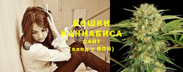 дурь Гусиноозёрск