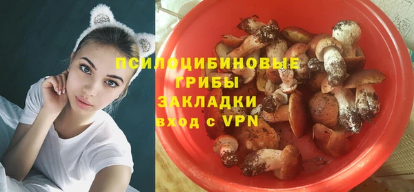 дурь Гусиноозёрск