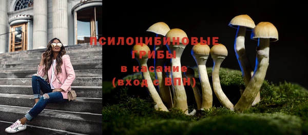меф Гусев